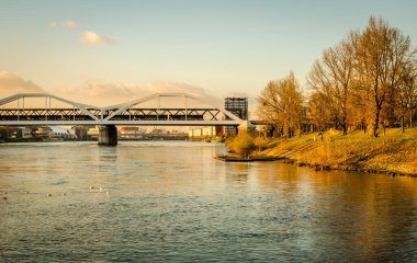 Mannheim, Almanya. 26 Kasım 2013. Ren Nehri üzerindeki Konrad Adenauer Köprüsü.