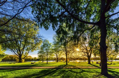 Mannheim, Almanya. 21 Nisan 2015 'te. Ren nehri kenarındaki park, insanların dinlenmek ya da egzersiz yapmak için uzandığı yer..