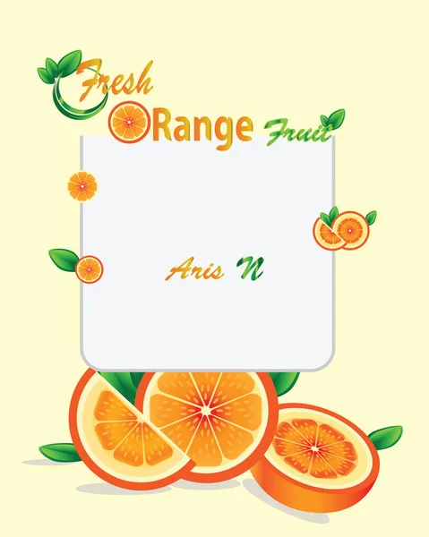 orang fruit illustration banner