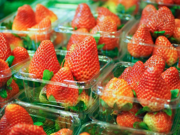 Frische Erdbeeren Die Supermärkten Verkauft Werden Lebensmittel Image — Stockfoto
