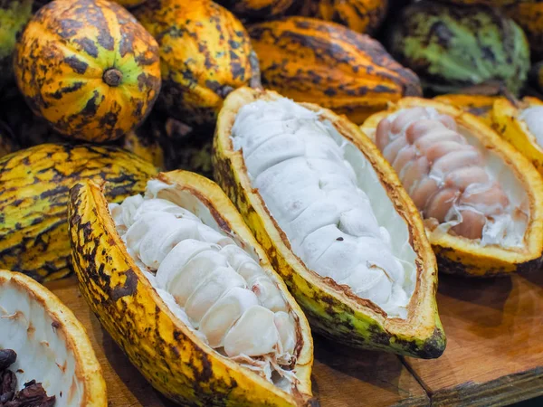 Verse Cacaobonen Peulen Fruit Een Cacao Plantage — Stockfoto