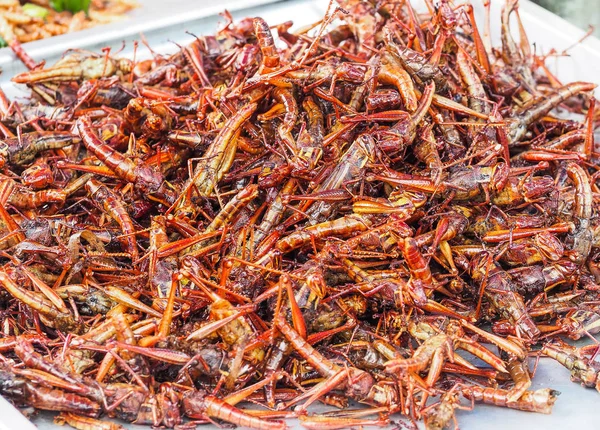 Fried Grasshoppers Sold Street Markets Bangkok Thailand Bio Food — Stock Photo, Image