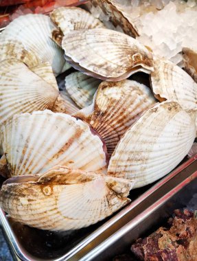 Taze tarak kabuk deniz ürünleri pazarında, görüntüyü kapat