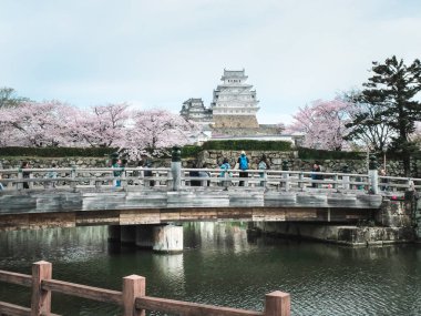 Himeji, Japonya - 10 Nisan 2017: Himeji-Jo bir şatoda tam bloom kiraz çiçekleri günü, ilk hafta Nisan her yıl kiraz çiçeği sezon ile ilgilenen Zamanı.