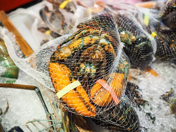 Frischer Hummer Steht Auf Dem Fischmarkt Zum Verkauf Bereit — Stockfoto