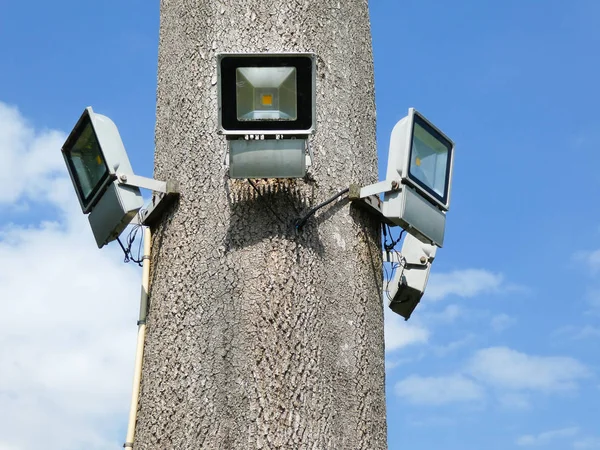 Track lighting spotlight mounted on the trunk of a large tree in the public garden or park.