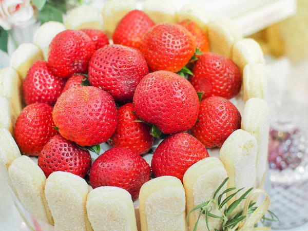 草莓慕斯夏洛特蛋糕 草莓香草蛋糕装饰与夫人手指饼干 特写和选择性对焦 — 图库照片