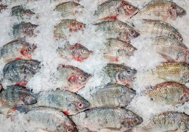 Deniz ürünleri pazarında buz satışı taze balık. Deniz ürünleri çiğ balık arka plan. 