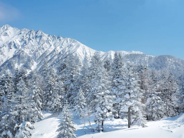 Bir kış dağı üzerinde kar ile kaplı Fir ağaçları ile Güzel kış manzarası. Hotakadake Dağı veya Hotaka Dağı , Takayama, Gifu Prefecture, Japonya.
