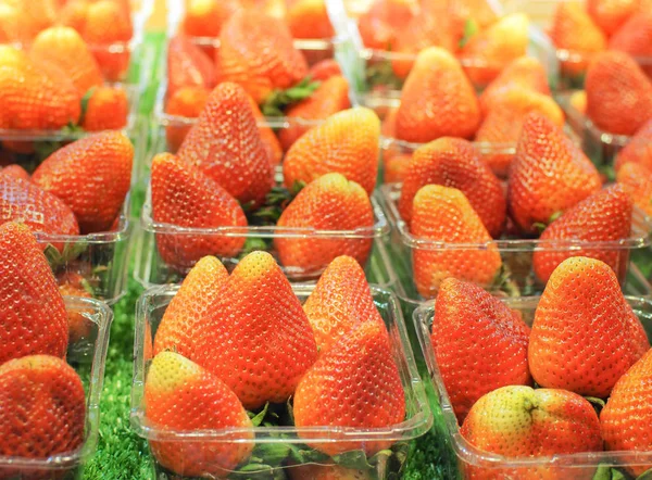 Fraises Fraîches Mises Vente Dans Les Supermarchés Image Alimentaire — Photo