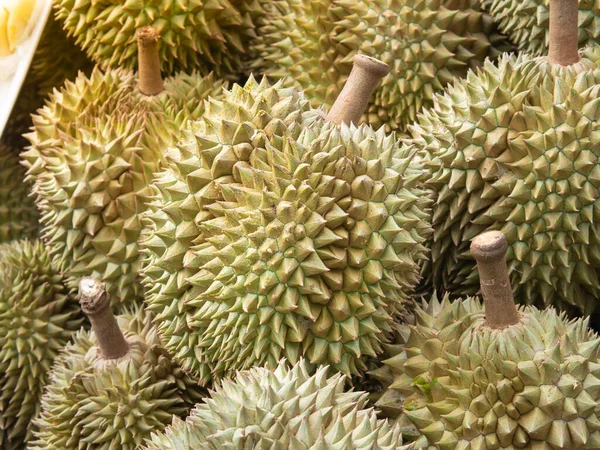 Rolnictwo Pyszne Durian Gospodarstwo Rolnictwo Jedzenie Owoce Owoce Zieleń Zbiory — Zdjęcie stockowe