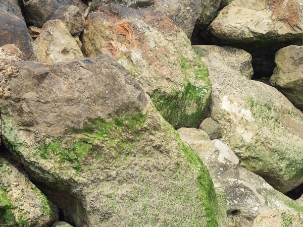 Hermoso Musgo Verde Cubierto Roca Playa Arena Piedras Musgosas Textura — Foto de Stock