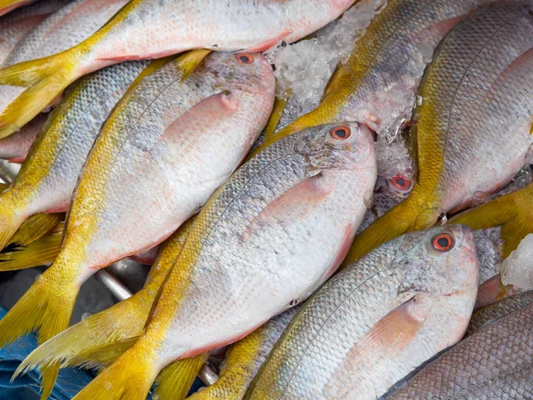 Verse Vis Ijs Koop Vismarkt Diepgevroren Vis Levensmiddelenwinkel — Stockfoto