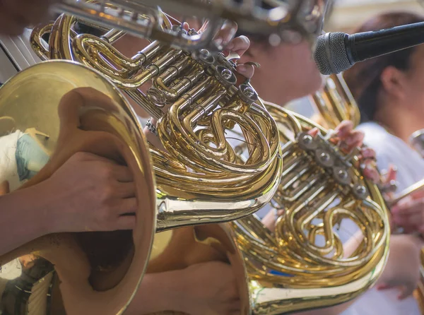 Selective focus of french horn musician.  Presentation of the brass band. The instrument of the brass band horn.