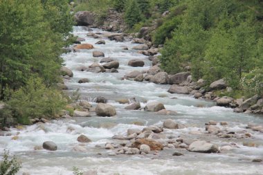 Himalaya dağ ormanlarındaki nehir - yavaş kaplama hızında hızlı su jeti güzel bir peri masalı etkisi yaratıyor. Hindistan Kuzey Dağları 'nda su kaynakları açısından zengindir.