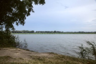 Lakeshore Bulutlu bir gökyüzü ve bir trenin çerçevelediği bir orman
