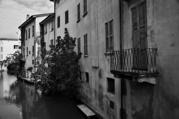 Stream of water in a european town bordered by buildings with a fig tree at almost the surface of the water in black and whit