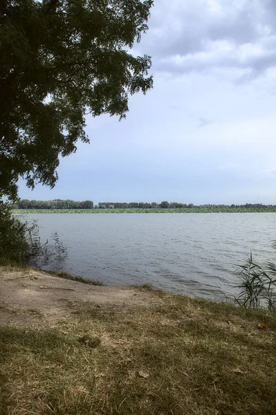 Lakeshore Συννεφιασμένο Ουρανό Και Ένα Δάσος Στο Βάθος Πλαισιώνεται Από — Φωτογραφία Αρχείου