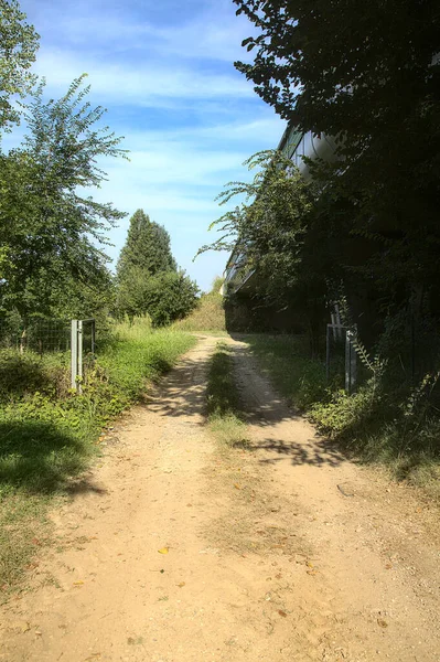 Estrada Terra Lado Campo Cercado Por Árvores Campo — Fotografia de Stock