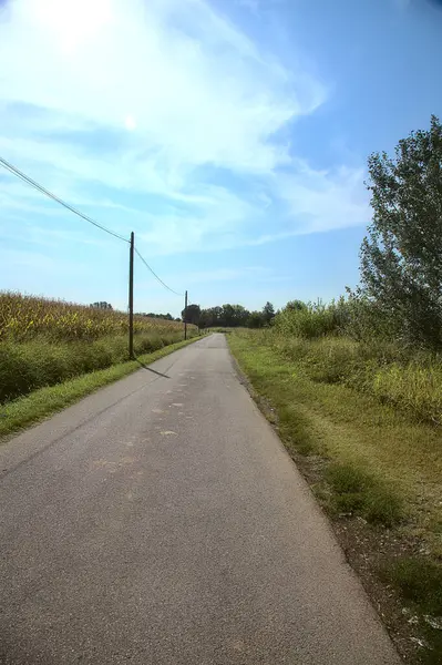 Schotterstraße Grünen Gesäumt Von Bäumen Und Büschen — Stockfoto