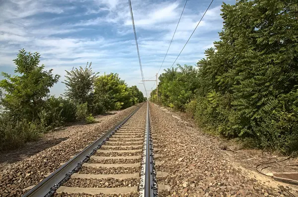 Ferrovia Com Cabos Sobre Cabeça Delimitada Por Árvores Verão Campo — Fotografia de Stock