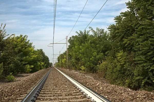 Ferrocarril Con Cables Sobre Cabeza Bordeado Por Árboles Verano Campo —  Fotos de Stock