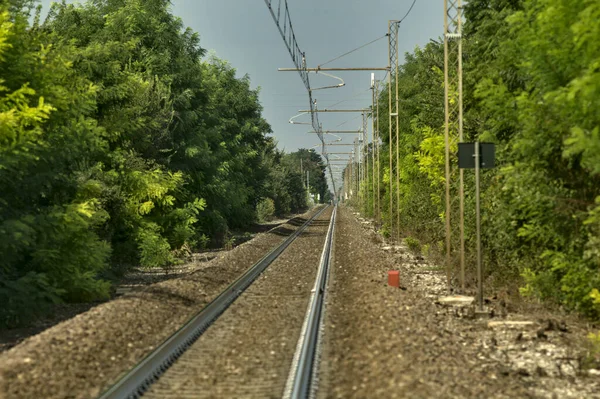 Kafasında kablolar olan ve yazın ağaçlarla çevrili bir demiryolu.