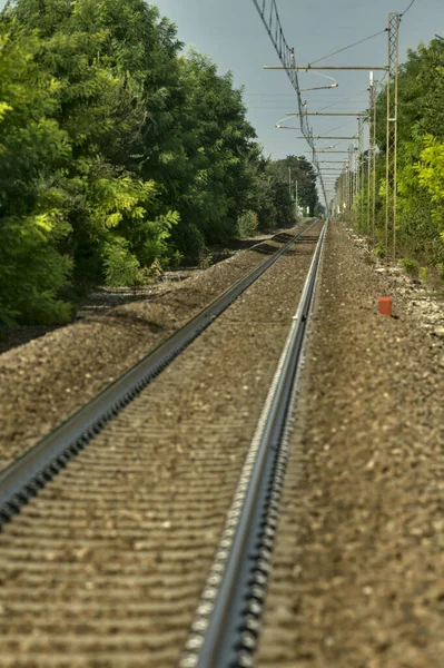 Railroad Head Cables Bordered Trees Summer Countrysid Stock Picture