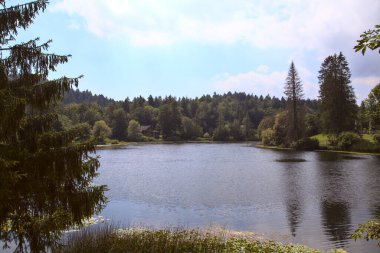 Dağ gölü ağaçlarla çevrili, diğer kıyısında bir orman var.