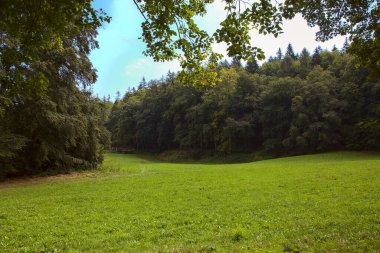 Ağacın çerçevelediği dağda açık alan