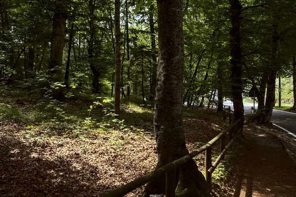 Strada Ghiaia Montagna Con Una Ringhiera Legno Margini — Foto Stock