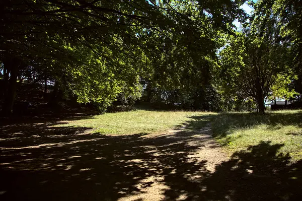 Zirve sırasında dağların gölgesinde çakıl yolu.