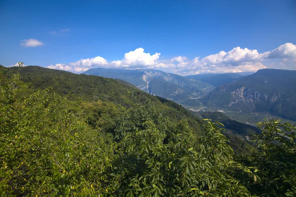Cordillera Con Bosque Todo Ove —  Fotos de Stock
