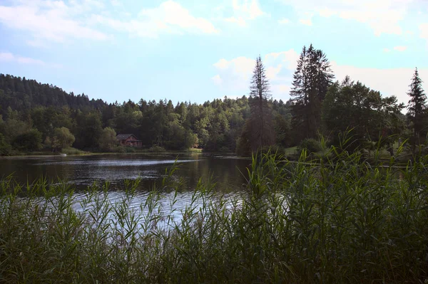 Horské Jezero Rámované Stromy Lesem Druhém Břehu Dálce — Stock fotografie