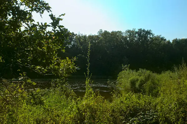 Pond Countryside Late Summer — Stock Photo, Image