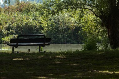Açık bir günde, bataklığın kıyısında, yanında söğütler olan ahşap bir bank.