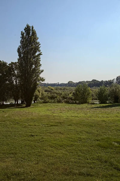 Stock image Open space in a park by the shore of a swamp