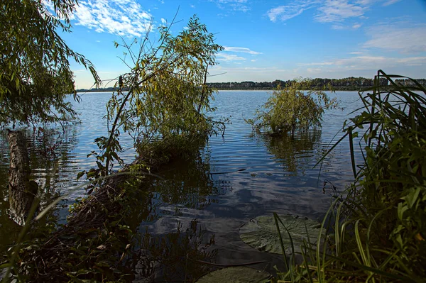 Drzewo Nad Brzegiem Jeziora Przy Zachodzie Słońca Autumn — Zdjęcie stockowe