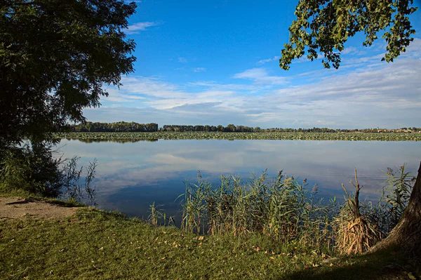 Costa Lago Pôr Sol Emoldurado Por Árvores — Fotografia de Stock