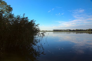 Gün batımında sazlıklar olan bir gölün kıyısında.