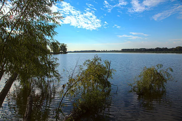 Drzewo Nad Brzegiem Jeziora Przy Zachodzie Słońca Autumn — Zdjęcie stockowe