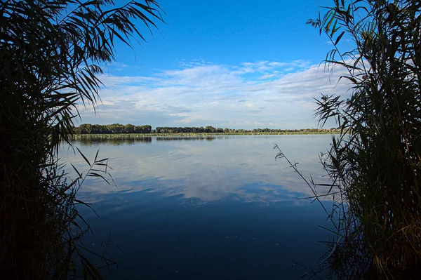 Lake Sky Cast Water Framed Reeds — стоковое фото