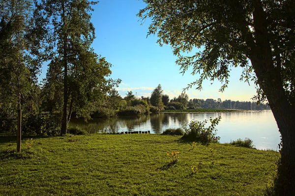 Costa Lago Com Árvores Pôr Sol — Fotografia de Stock