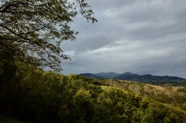 Bulutlu bir günde tepeler Sonbaharın başlarında bir ağaç tarafından çerçevelenir
