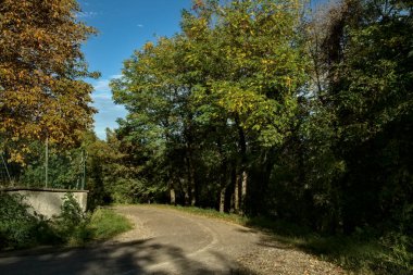 Ağaçlarla çevrili bir tepede yol