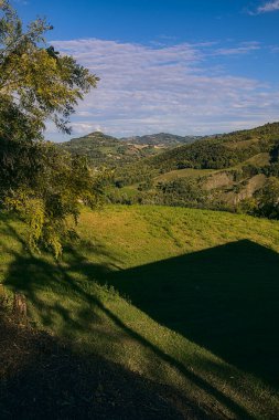 Gün batımında tepede bir tarla Ağacın çerçevelediği