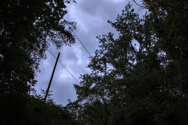 Ein Strommast Umrahmt Von Bäumen Mit Wolkenverhangenem Himmel Als Hintergrund — Stockfoto