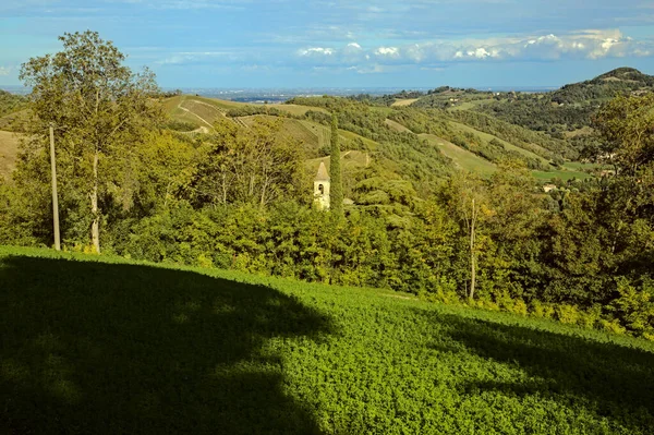 Campo Uma Colina Com Campanário Que Sai Bosque — Fotografia de Stock