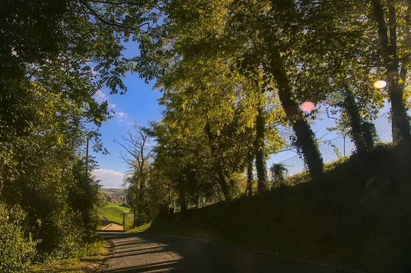 Uma Estrada Bosque Uma Colina Pôr Sol Início Outono — Fotografia de Stock