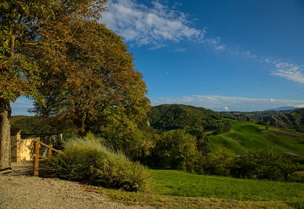 Árbol Una Colina Con Cielo Como Fondo — Foto de Stock